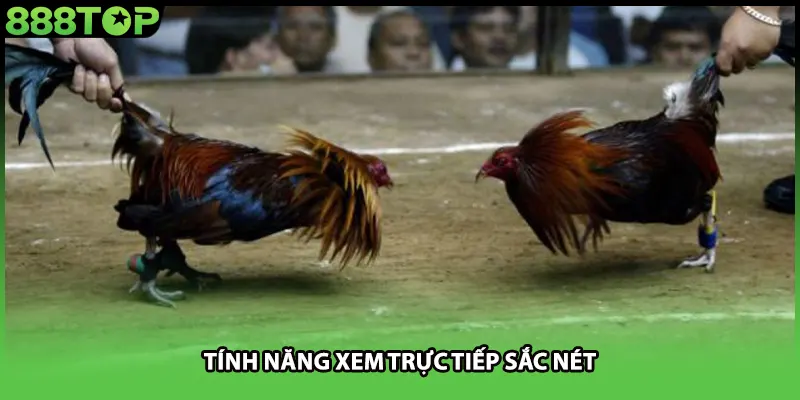 Tính năng xem trực tiếp sắc nét